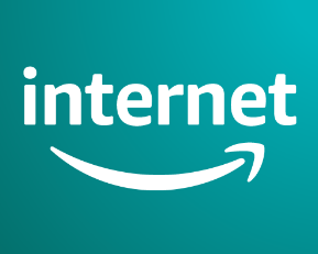 8 Best Web Browsers for Safe Browsing 11 Amazon developed the Amazon Silk web browser for FireOS in 2011. It is too a reliable and secure web browser which you can use for browsing over Internet and purchasing products.